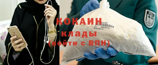 шишки Магадан