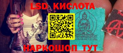 бошки Заводоуковск