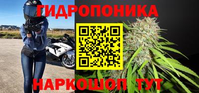 бошки Заводоуковск