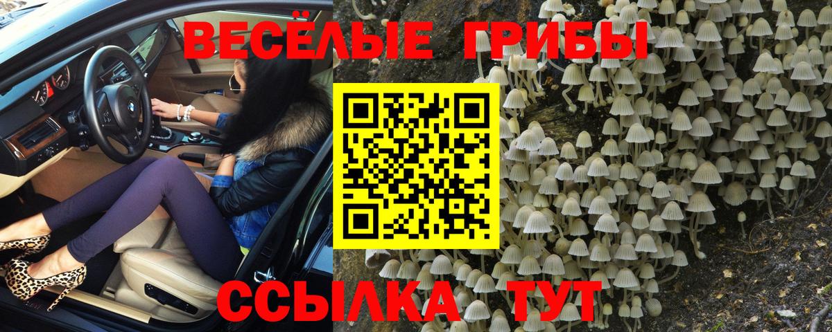 Псилоцибиновые грибы мицелий  Вход с VPN  Лянтор  Псилоцибиновые грибы MAGIC MUSHROOMS 